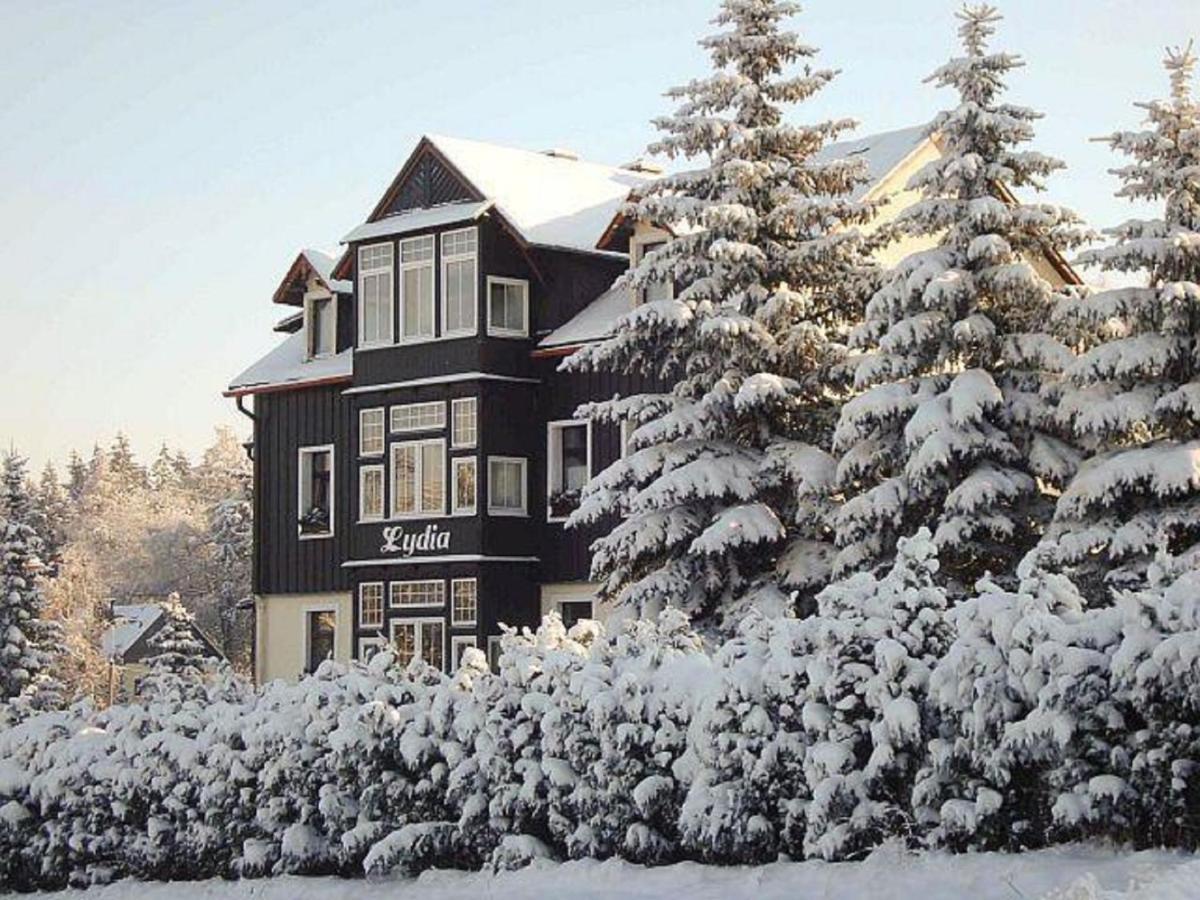 Villa Lydia Altenberg  Extérieur photo