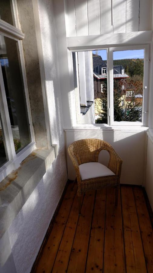 Villa Lydia Altenberg  Extérieur photo