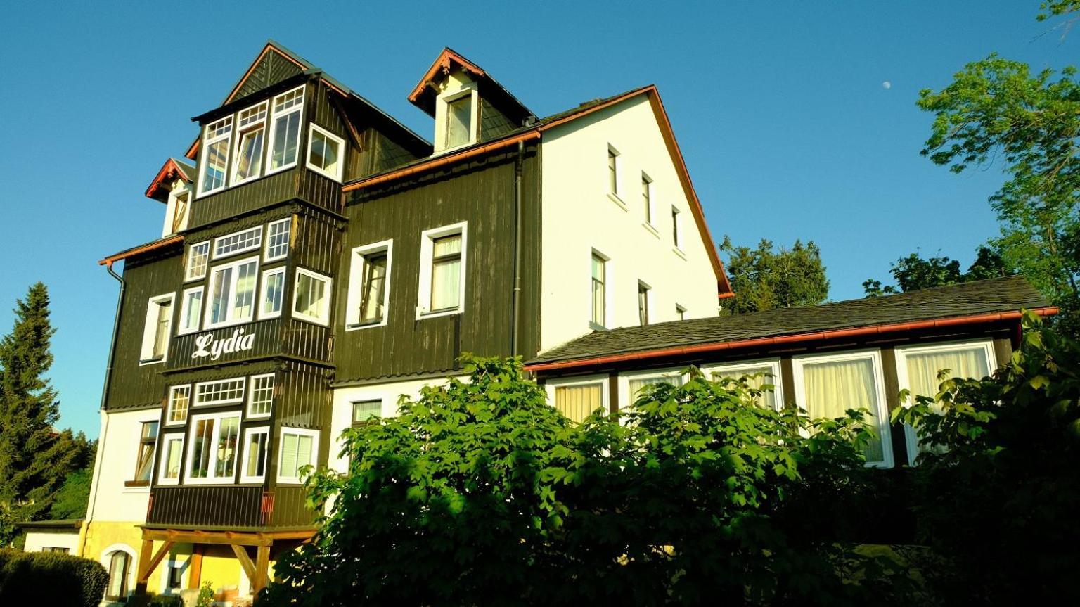 Villa Lydia Altenberg  Extérieur photo